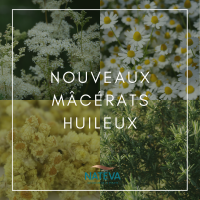 MACERATS HUILEUX - EXTENSION DE GAMME