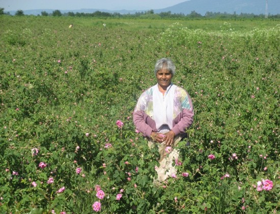 ORGANIC ROSE FLORAL WATER (BULGARIA)