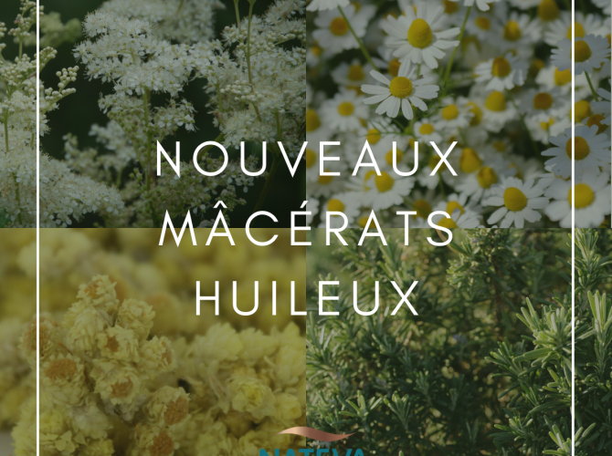 MACERATS HUILEUX - EXTENSION DE GAMME